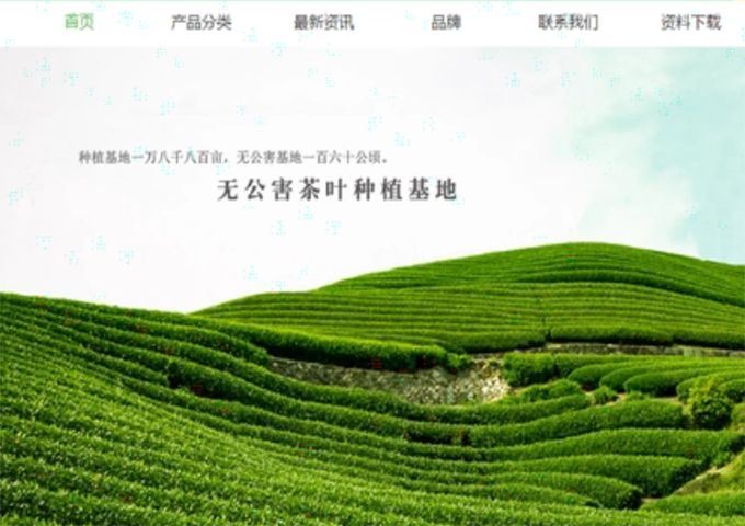 茶葉網(wǎng)站建設(shè)！