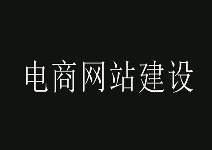 電商網(wǎng)站建設(shè)