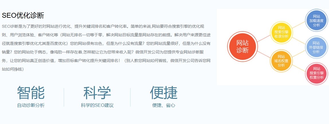 SEO優(yōu)化診斷.png