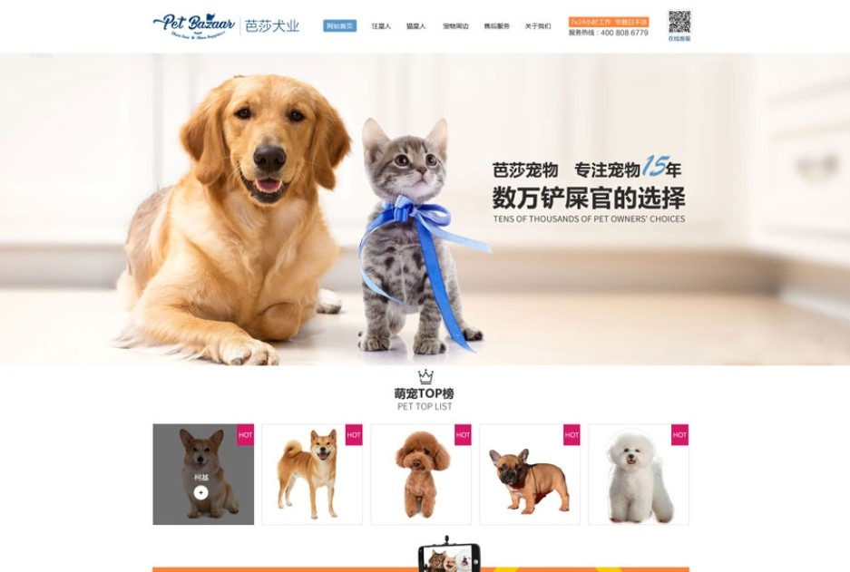 寵物網(wǎng)站建設(shè).png